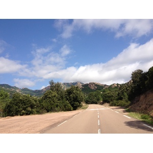 รูปถ่าย ฝรั่งเศส(France) คอร์สิคา(Corsica) ป่าลอสเปดาเล(L'ospedale Forest) 2012-09 24