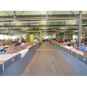รูปถ่าย ฟิจิ(Fiji) นาดี(Nadi) 2010-05 71