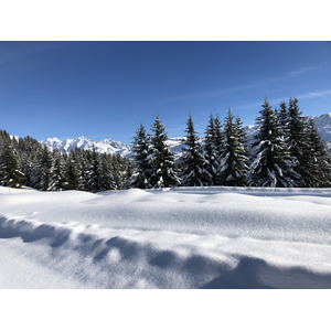 รูปถ่าย ฝรั่งเศส(France) ปรา-ซูร์-อาร์ลี(Praz sur Arly) 2019-12 81