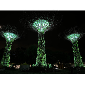 รูปถ่าย สิงคโปร์(Singapore) การ์เดนส์บายเดอะเบย์(Garden by the bay) 2023-01 22