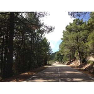 รูปถ่าย ฝรั่งเศส(France) คอร์สิคา(Corsica) ป่าลอสเปดาเล(L'ospedale Forest) 2012-09 66
