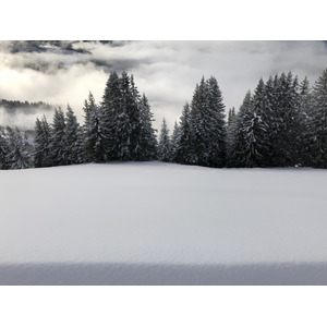 รูปถ่าย ฝรั่งเศส(France) ปรา-ซูร์-อาร์ลี(Praz sur Arly) 2019-12 190