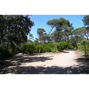 รูปถ่าย ฝรั่งเศส(France) เกาะปอร์เกอรอล(Porquerolles Island) แหลมเลอแก็ง(Pointe du Lequin) 2008-05 66