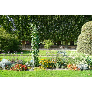 รูปถ่าย ฝรั่งเศส(France) ปารีส(Paris) สวนพันธ์ุพืช(Jardin des Plantes) 2007-08 175