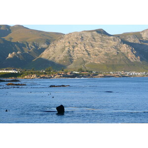 รูปถ่าย แอฟริกาใต้(South Africa) เฮอร์มานัส(Harmanus) 2008-09 160