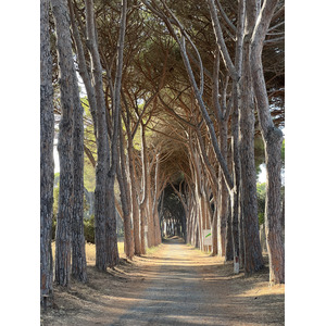 รูปถ่าย อิตาลี(Italy) ออร์เบเตลโล(Orbetello) 2021-09 0