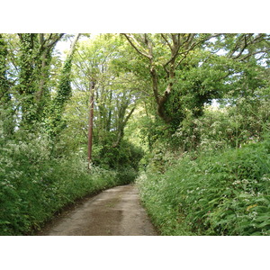 รูปถ่าย อังกฤษ(United Kingdom) เปมโบรคเชอร์(Pembrokeshire) 2006-05 20