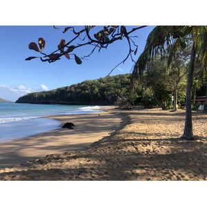 รูปถ่าย กวาเดอลูป(Guadeloupe) หาดลาแปร์ล(La Perle Beach) 2021-02 91