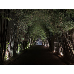 รูปถ่าย ไทย(Thailand) เชียงใหม่(Chiang Mai) 2024-12 184