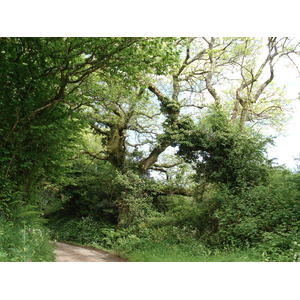 รูปถ่าย อังกฤษ(United Kingdom) เปมโบรคเชอร์(Pembrokeshire) 2006-05 36
