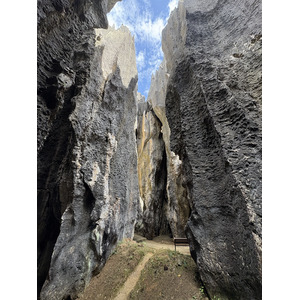 รูปถ่าย จีน(China) ป่าหินสือหลิน(Shilin Stone Forest) 2026-01 123