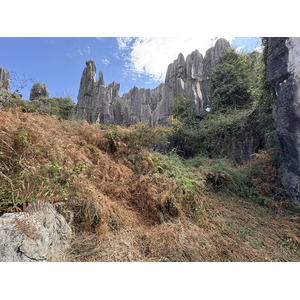 รูปถ่าย จีน(China) ป่าหินสือหลิน(Shilin Stone Forest) 2026-01 240