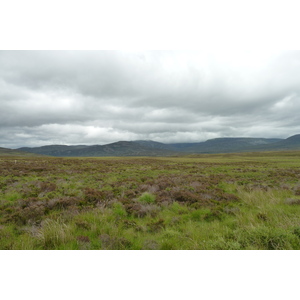 รูปถ่าย อังกฤษ(United Kingdom) สกอตแลนด์(Scotland) ถนนจากฟอร์เรสไปเอวีมอร์(Forres to Aviemore road) 2011-07 10