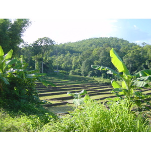 รูปถ่าย ไทย(Thailand) แม่ฮ่องสอน(Mae Hong Son) 2003-07 35