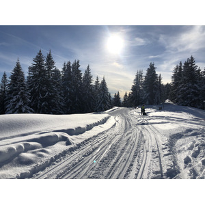 รูปถ่าย ฝรั่งเศส(France) ปรา-ซูร์-อาร์ลี(Praz sur Arly) 2019-12 31