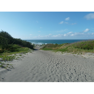 รูปถ่าย ฟิจิ(Fiji) อุทยานแห่งชาติเนินทรายซิงกาโตกา(Sigatoka sand dunes national park) 2010-05 19