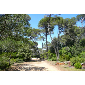 รูปถ่าย ฝรั่งเศส(France) เกาะปอร์เกอรอล(Porquerolles Island) ที่ราบกูร์ตาด(Plaine de la courtade) 2008-05 38