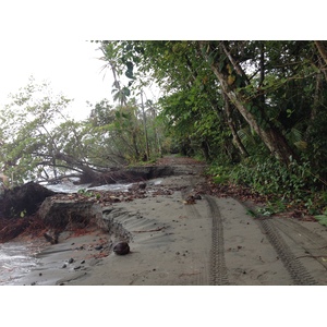 รูปถ่าย คอสตาริกา(Costa Rica) กาอุยตา(Cahuita) 2015-03 208