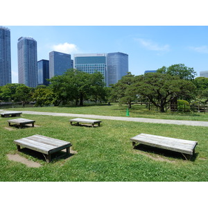 รูปถ่าย ญี่ปุ่น(Japan) โตเกียว(Tokyo) สวนฮามะริคิว(Hama rikyu Gardens) 2010-06 6