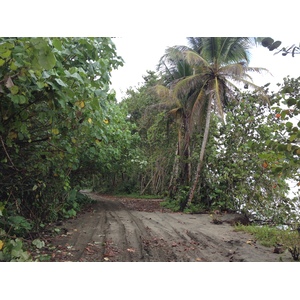 รูปถ่าย คอสตาริกา(Costa Rica) กาอุยตา(Cahuita) 2015-03 202