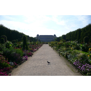 รูปถ่าย ฝรั่งเศส(France) ปารีส(Paris) สวนพันธ์ุพืช(Jardin des Plantes) 2007-08 207