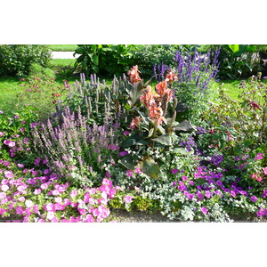 รูปถ่าย ฝรั่งเศส(France) ปารีส(Paris) สวนพันธ์ุพืช(Jardin des Plantes) 2007-08 212