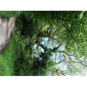 รูปถ่าย อังกฤษ(United Kingdom) เปมโบรคเชอร์(Pembrokeshire) 2006-05 46