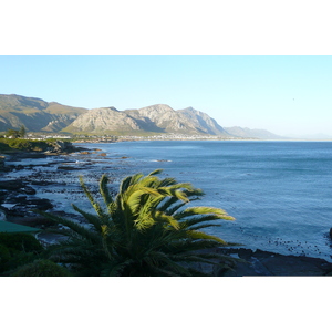 รูปถ่าย แอฟริกาใต้(South Africa) เฮอร์มานัส(Harmanus) 2008-09 197