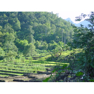 รูปถ่าย ไทย(Thailand) แม่ฮ่องสอน(Mae Hong Son) 2003-07 47