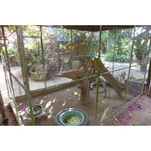 รูปถ่าย ไทย(Thailand) เชียงใหม่(Chiang Mai) ฟาร์มงูแม่สา(Mae Sa Snake Farm) 2010-12 1