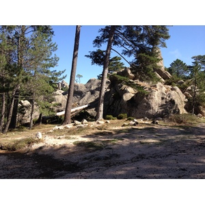 รูปถ่าย ฝรั่งเศส(France) คอร์สิคา(Corsica) ป่าลอสเปดาเล(L'ospedale Forest) 2012-09 37