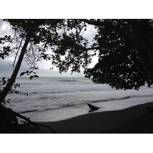 รูปถ่าย คอสตาริกา(Costa Rica) กาอุยตา(Cahuita) 2015-03 207