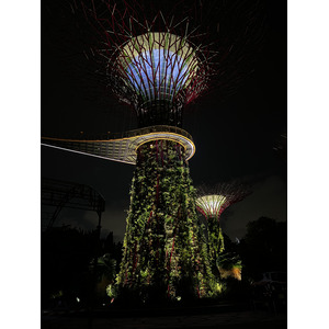 รูปถ่าย สิงคโปร์(Singapore) การ์เดนส์บายเดอะเบย์(Garden by the bay) 2023-01 39
