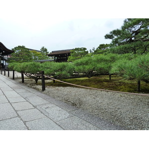 รูปถ่าย ญี่ปุ่น(Japan) เกียวโต(Kyoto) ตำหนักหลวงวัดนินนะจิ(Ninna ji imperial Residence) 2010-06 30