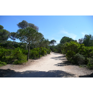 รูปถ่าย ฝรั่งเศส(France) เกาะปอร์เกอรอล(Porquerolles Island) ที่ราบกูร์ตาด(Plaine de la courtade) 2008-05 2