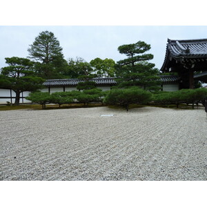 รูปถ่าย ญี่ปุ่น(Japan) เกียวโต(Kyoto) ตำหนักหลวงวัดนินนะจิ(Ninna ji imperial Residence) 2010-06 17