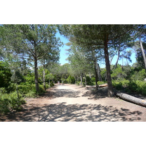 รูปถ่าย ฝรั่งเศส(France) เกาะปอร์เกอรอล(Porquerolles Island) ที่ราบกูร์ตาด(Plaine de la courtade) 2008-05 4