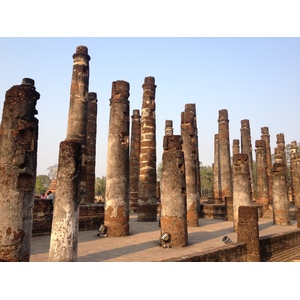 รูปถ่าย ไทย(Thailand) สุโขทัย(Sukhothai) 2014-02 46