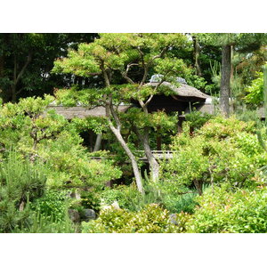 รูปถ่าย ญี่ปุ่น(Japan) เกียวโต(Kyoto) สวนโชเซเอ็ง(Shosei en Garden) 2010-06 58