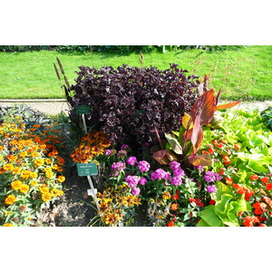 รูปถ่าย ฝรั่งเศส(France) ปารีส(Paris) สวนพันธ์ุพืช(Jardin des Plantes) 2007-08 23