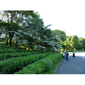 รูปถ่าย ญี่ปุ่น(Japan) โตเกียว(Tokyo) พระราชวังหลวง(Imperial Palace) 2010-06 102
