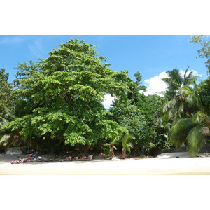 รูปถ่าย เซเชลส์(Seychelles) เกาะมาเฮ(Mahe) 2011-10 70