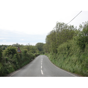รูปถ่าย อังกฤษ(United Kingdom) เปมโบรคเชอร์(Pembrokeshire) 2006-05 13