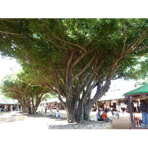 รูปถ่าย ฟิจิ(Fiji) นาดี(Nadi) 2010-05 26