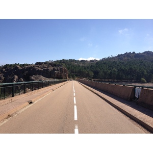 รูปถ่าย ฝรั่งเศส(France) คอร์สิคา(Corsica) ป่าลอสเปดาเล(L'ospedale Forest) 2012-09 2
