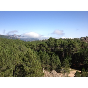 รูปถ่าย ฝรั่งเศส(France) คอร์สิคา(Corsica) ป่าลอสเปดาเล(L'ospedale Forest) 2012-09 7
