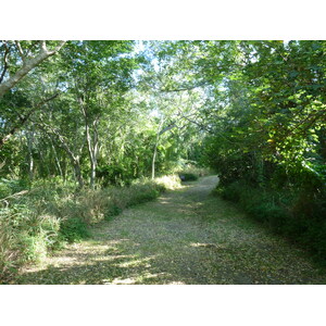 รูปถ่าย ฟิจิ(Fiji) อุทยานแห่งชาติเนินทรายซิงกาโตกา(Sigatoka sand dunes national park) 2010-05 42