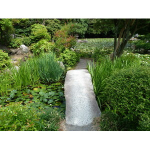 รูปถ่าย ญี่ปุ่น(Japan) เกียวโต(Kyoto) สวนโชเซเอ็ง(Shosei en Garden) 2010-06 65