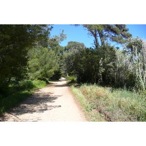 รูปถ่าย ฝรั่งเศส(France) เกาะปอร์เกอรอล(Porquerolles Island) ที่ราบกูร์ตาด(Plaine de la courtade) 2008-05 0