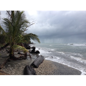 รูปถ่าย คอสตาริกา(Costa Rica) กาอุยตา(Cahuita) 2015-03 148